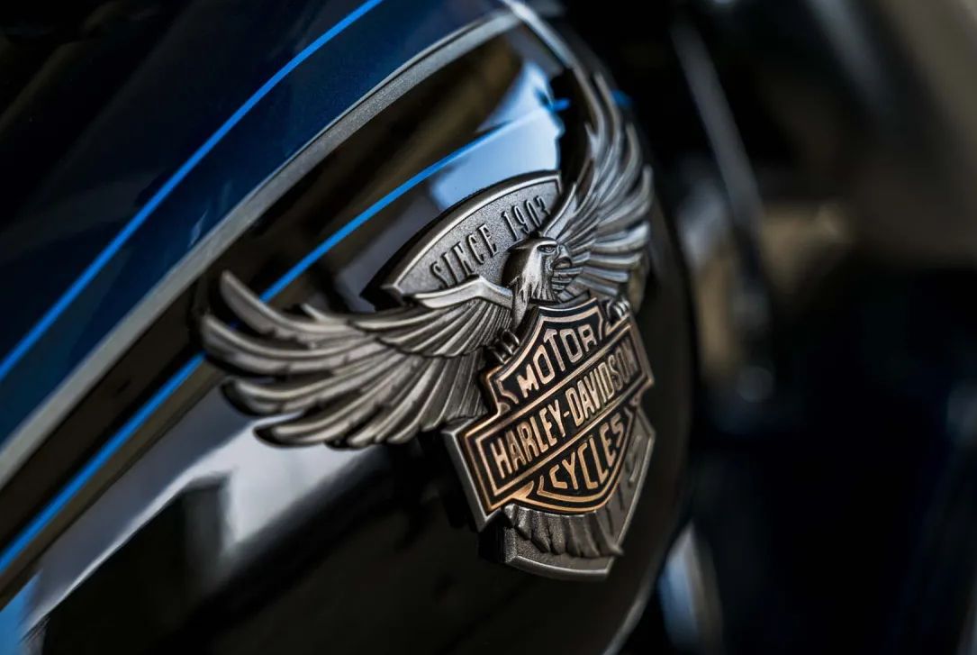 Branding Salvaje: La Fauna Animal de los Logotipos de las grandes marcas