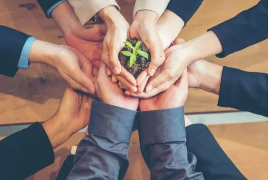 Los pilares de la Publicidad y el Marketing Sostenible